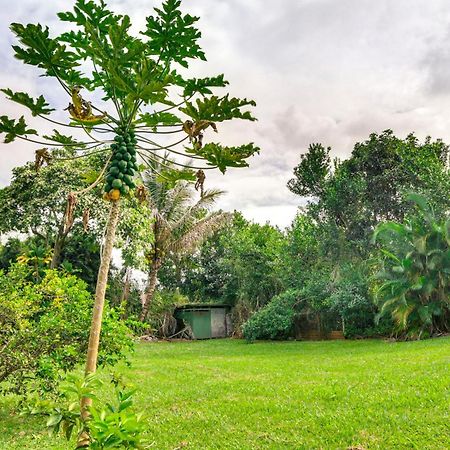Charming Historic Hilo House Minutes To Beach! Buitenkant foto