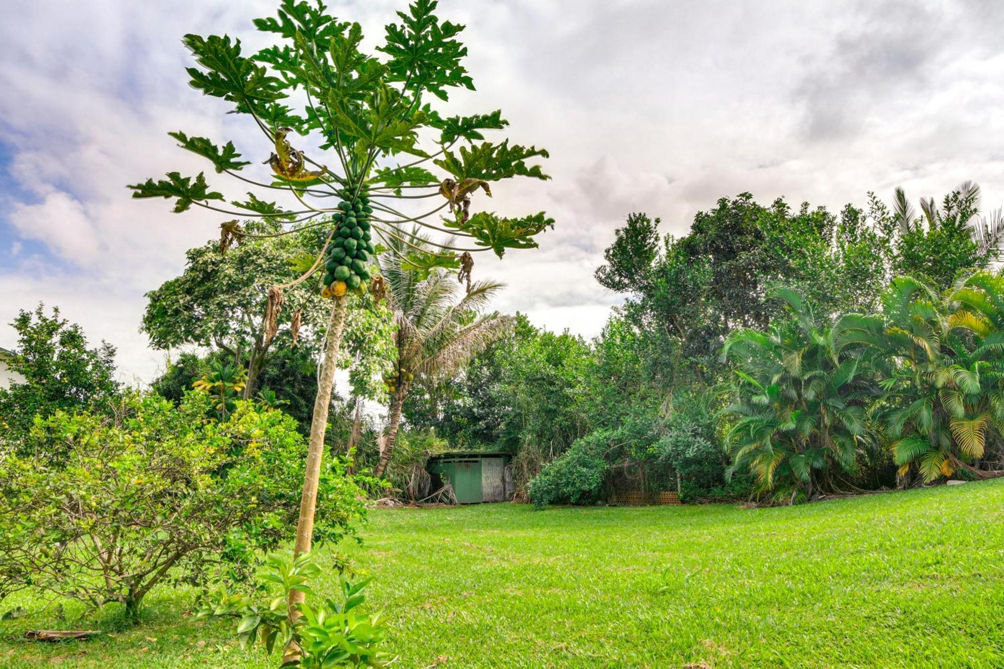 Charming Historic Hilo House Minutes To Beach! Buitenkant foto